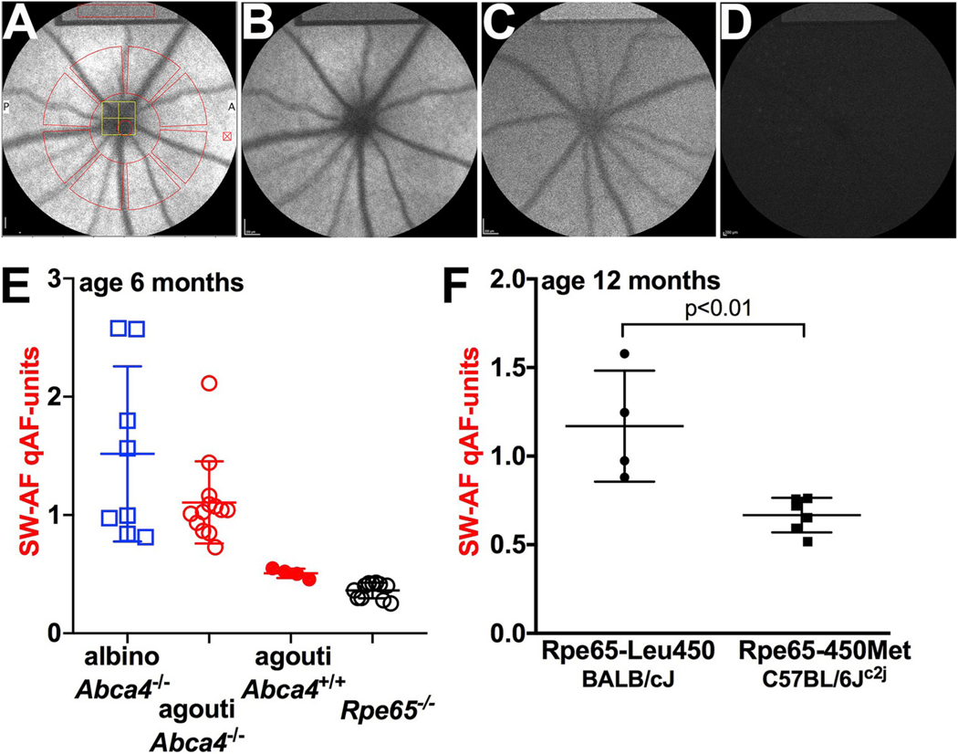 Fig. 12.