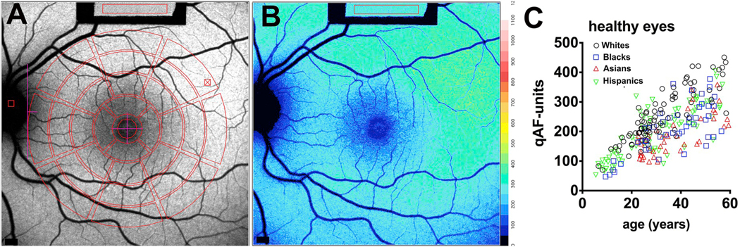 Fig. 2.