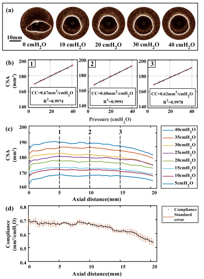 Fig. 6