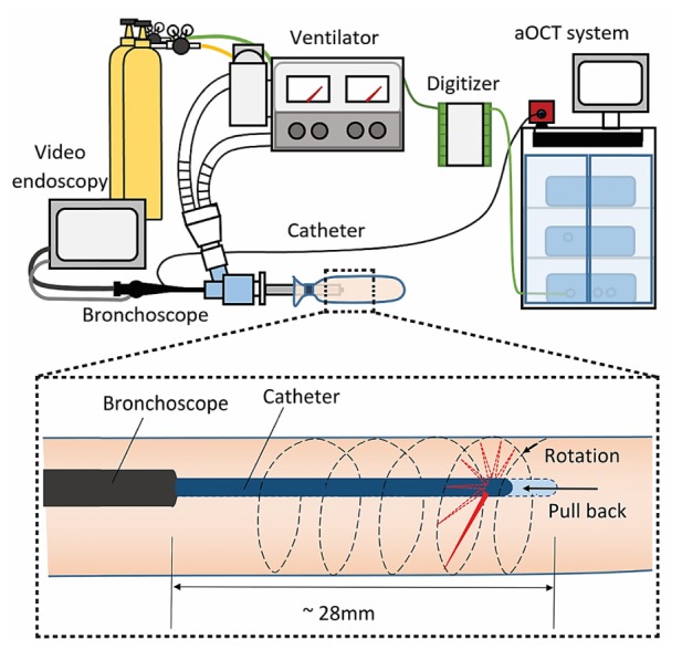 Fig. 2