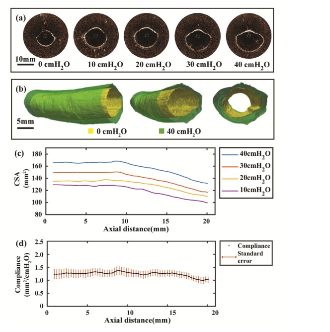 Fig. 7