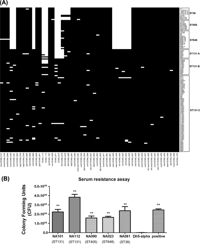 FIG 4 