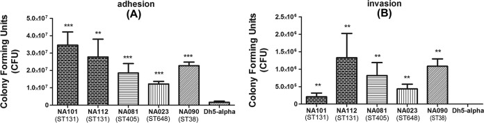 FIG 2 