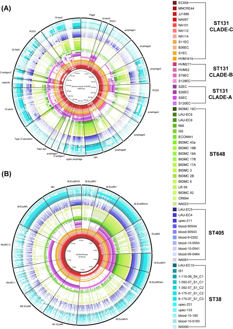 FIG 3 