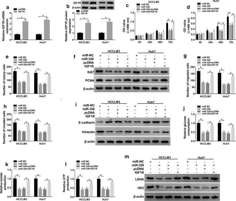 Fig. 6