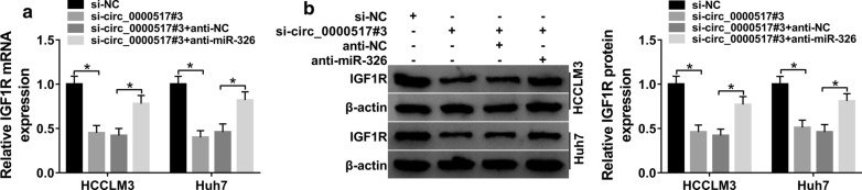 Fig. 7