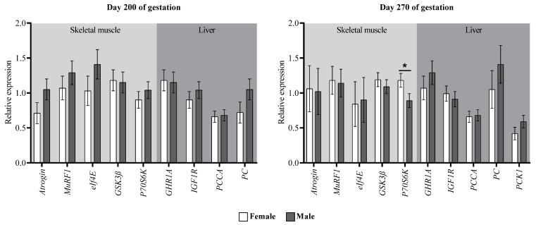 Figure 5