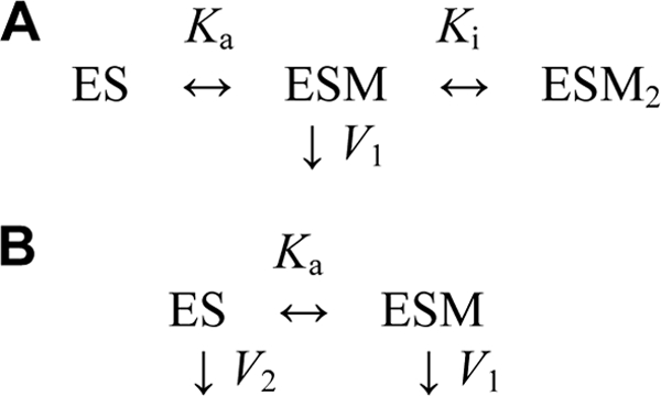 SCHEME 1.