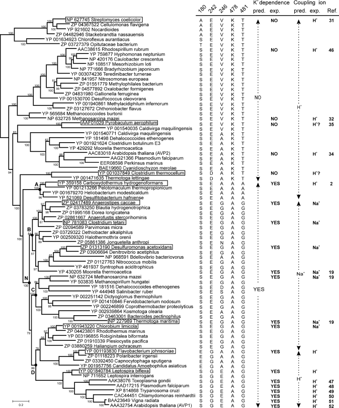 FIGURE 1.