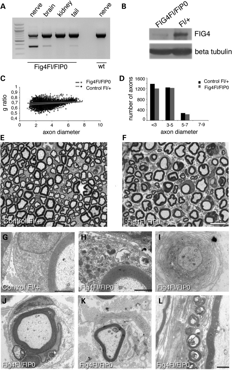 Figure 2.