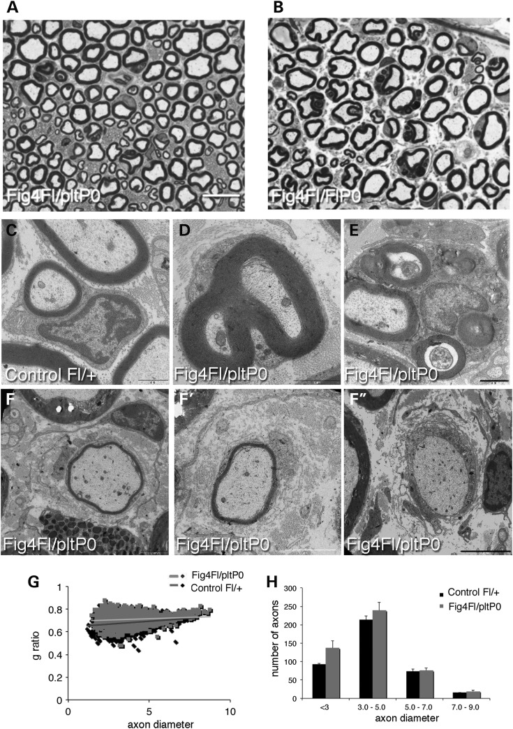 Figure 3.