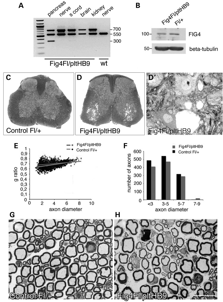 Figure 1.