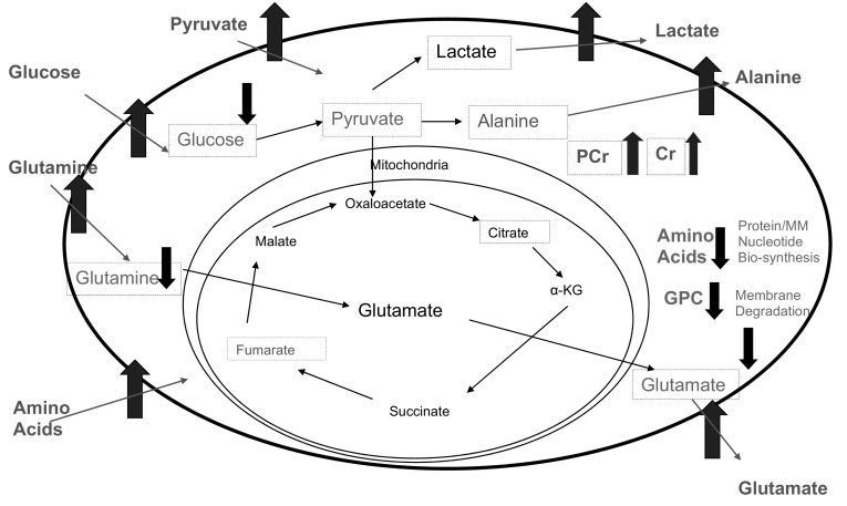 Fig. 5