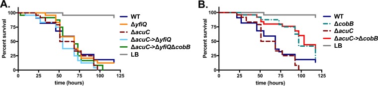 FIG 5