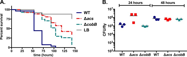 FIG 3