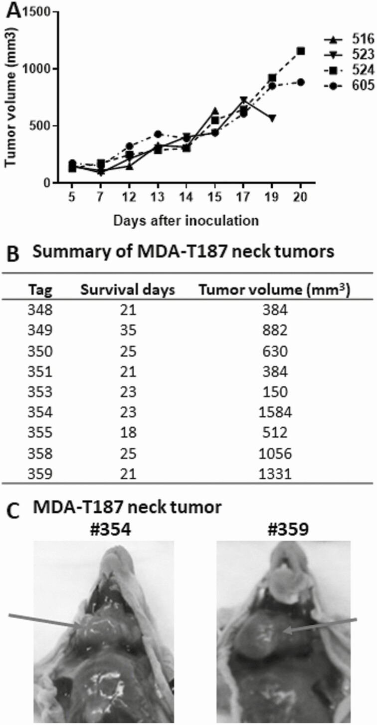 Figure 7.