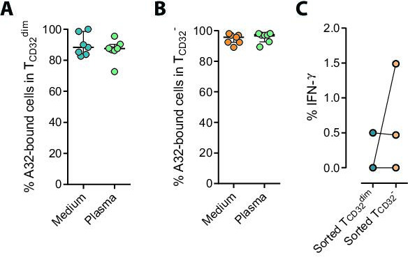 Figure 4—figure supplement 1.