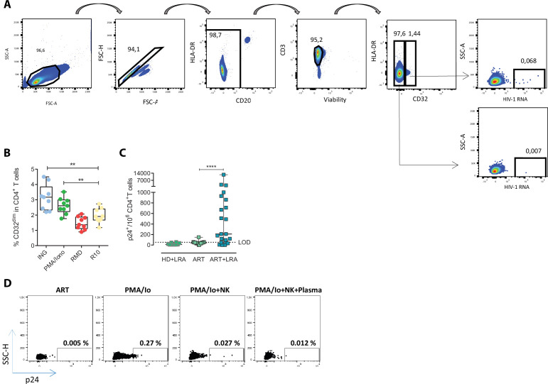 Figure 2—figure supplement 1.