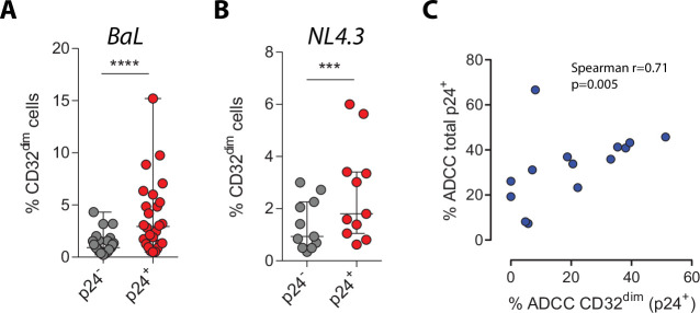 Figure 1—figure supplement 2.