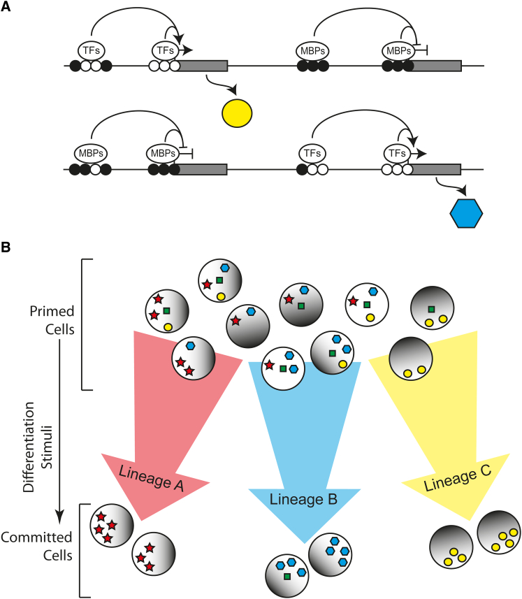 Figure 4