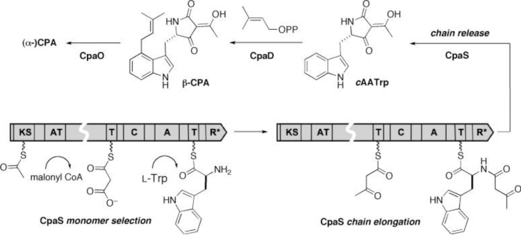 Fig. 10