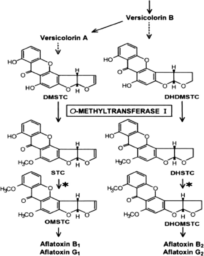 Fig. 9