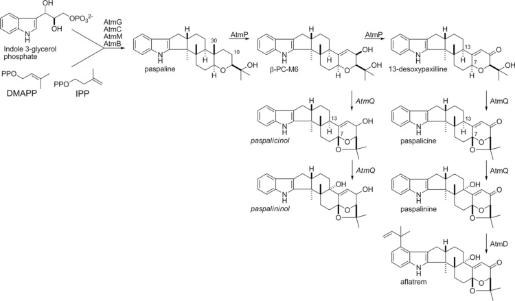 Fig. 3