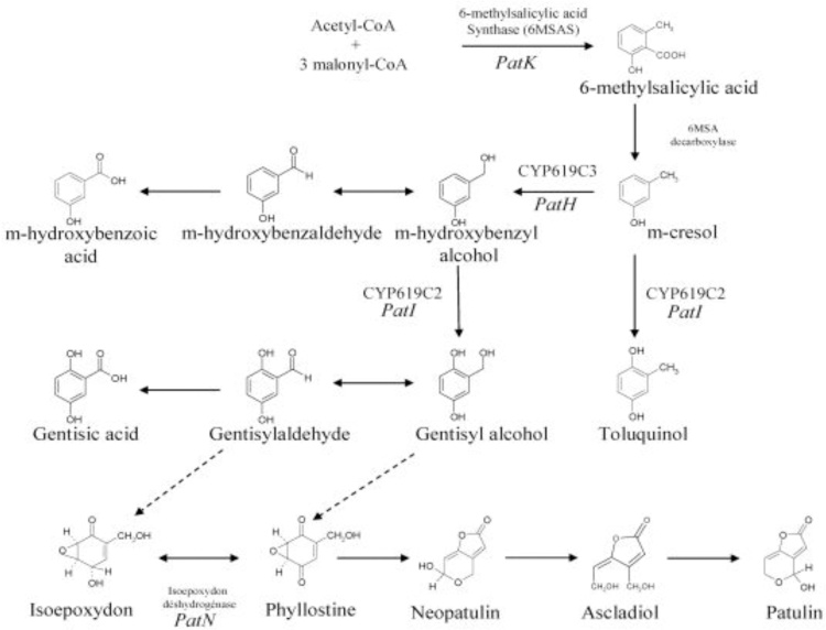 Fig. 6