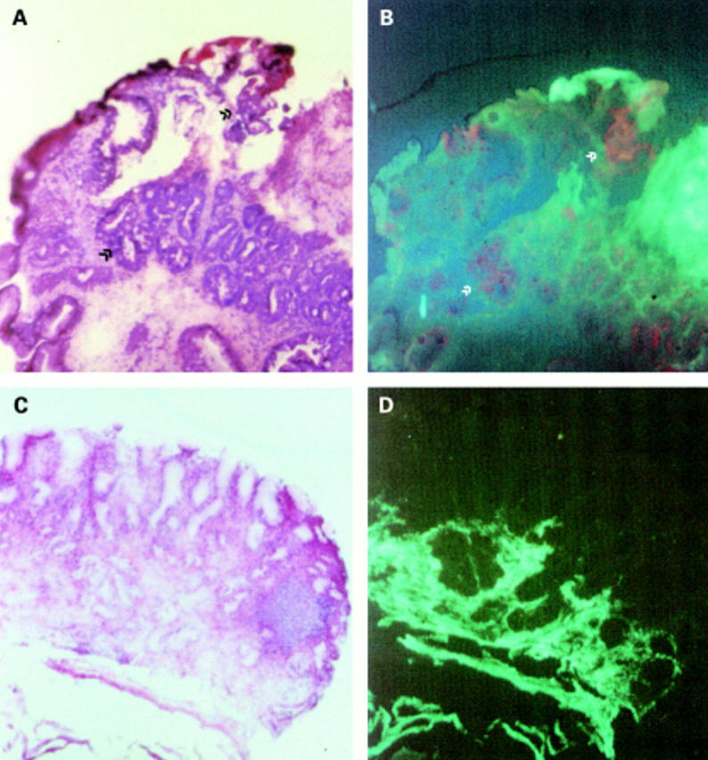 Figure 2  