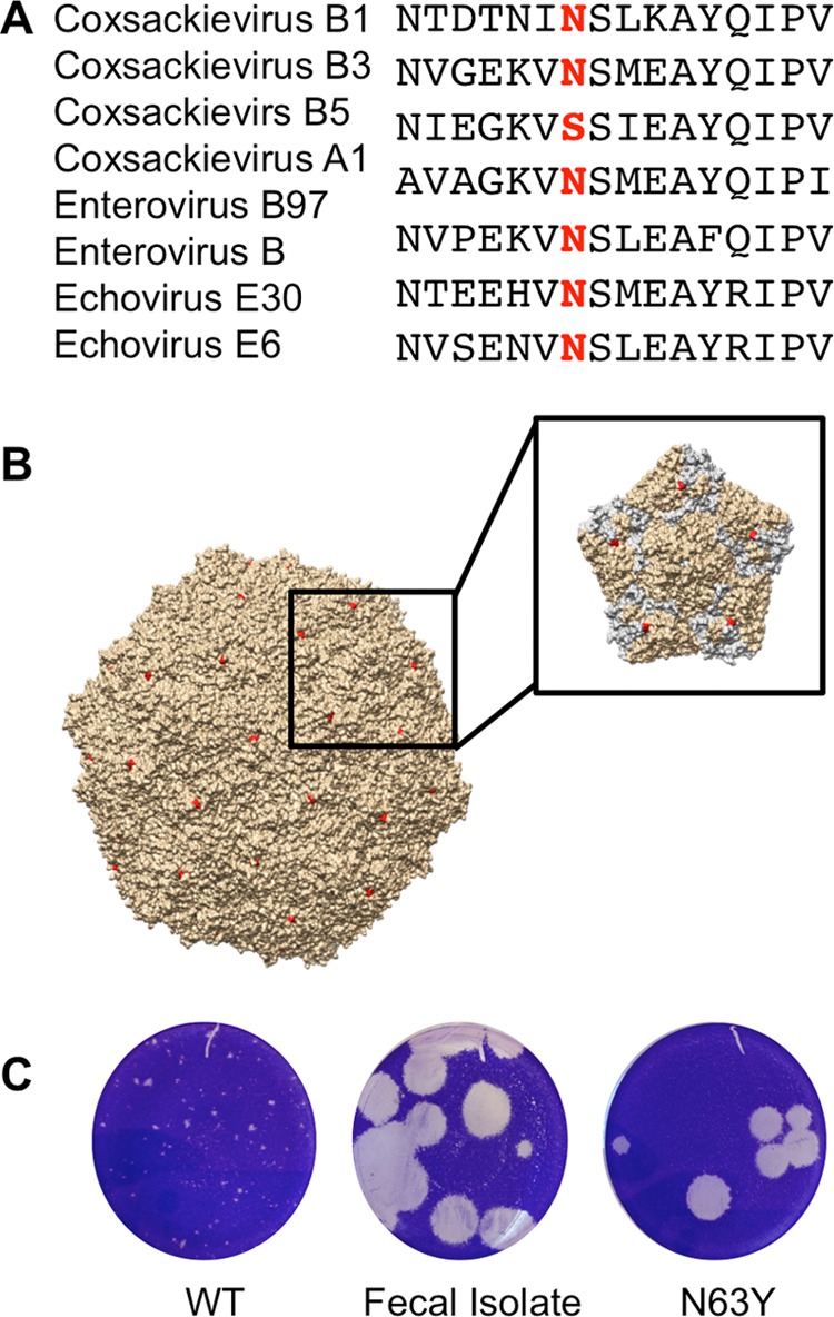 FIG 3 