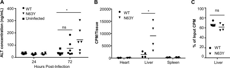 FIG 6 