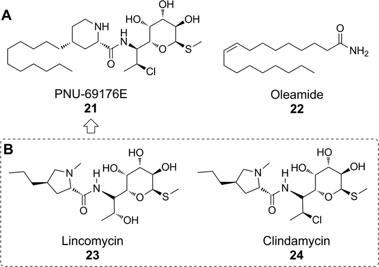 Fig. (8).