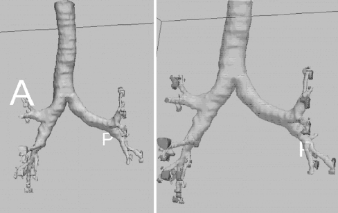 Fig. 5