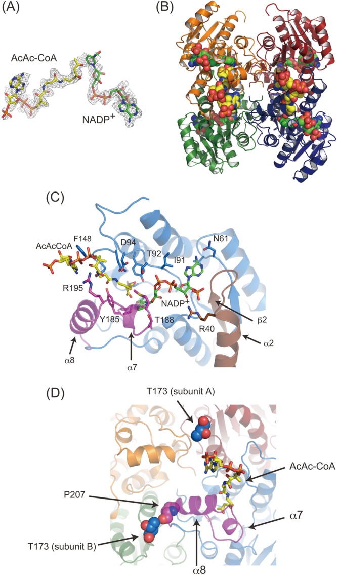 Fig 3