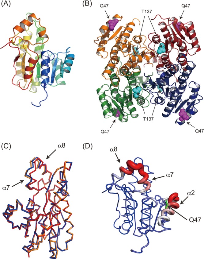 Fig 2