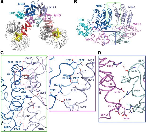 Figure 3.