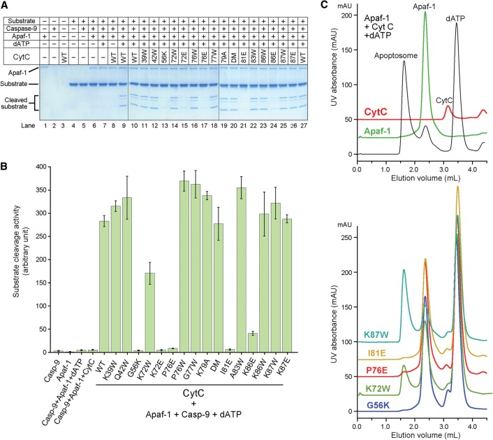 Figure 6.