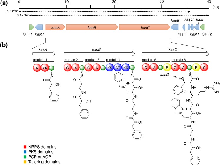 Fig 2