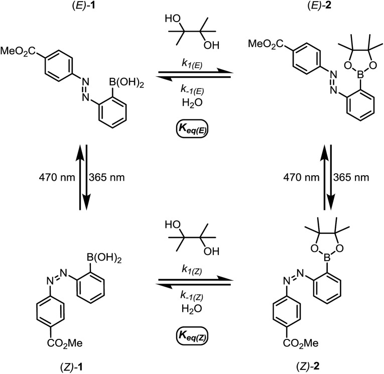 Scheme 1