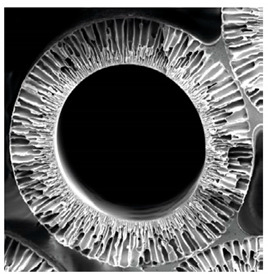 graphic file with name membranes-12-00152-i002.jpg