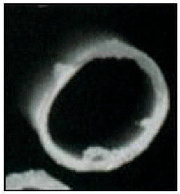 graphic file with name membranes-12-00152-i001.jpg