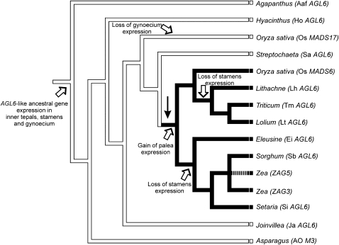 Figure 9.