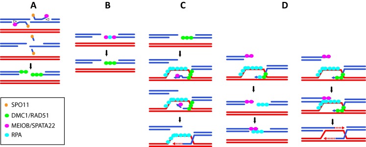 Fig. 4