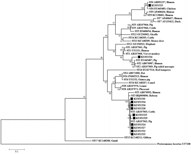 Fig. 3.