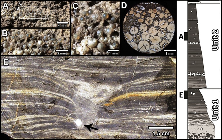 Fig. 4.