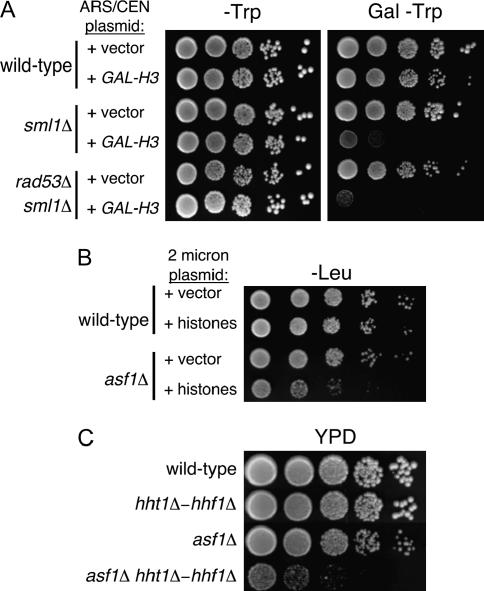 Figure 6.