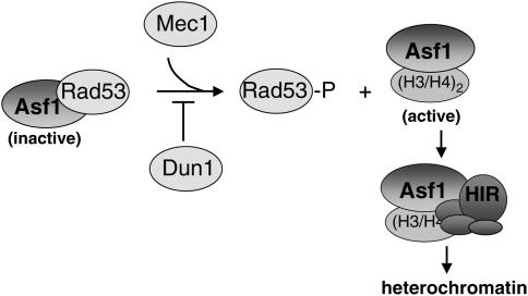 Figure 10.