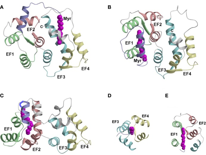 Figure 5