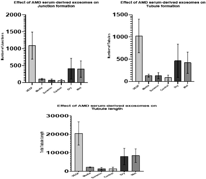 Figure 10.