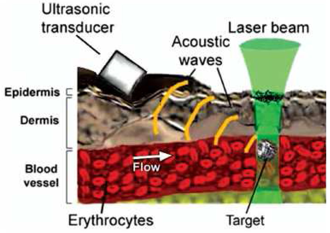 Figure 12